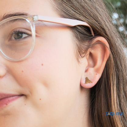 Brincos Paris in Pink